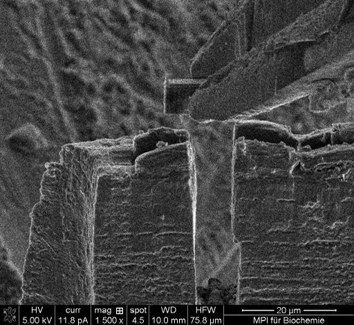 Fig. 2: Lamella approaching drop-off site on TEM grid