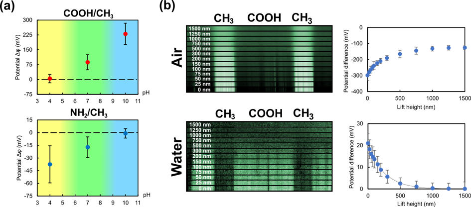 Figure 2: (a) Measured potential difference ∆𝜙 of the ionizable thiol (COOH / NH2) to the uncharged CH3 region as a function of pH. (b) Dependence of the measured potential on the tip-sample separation in air and deionized water.