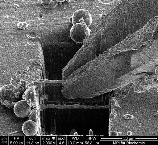 Fig. 1: Milled TEM lamella ready for liftout