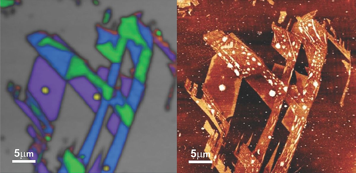 256 × 256 points simultaneously acquired topography image (right) and composite Raman map (left) of graphene.